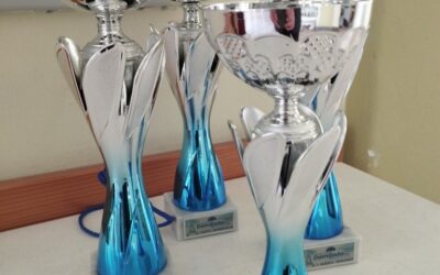 48. REGIONALNA DOMIJADA – SPORT