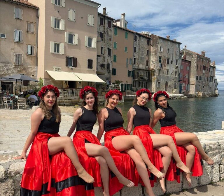 48. DRŽAVNA DOMIJADA