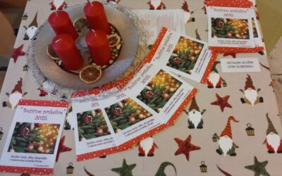 Predbožićna događanja u domu